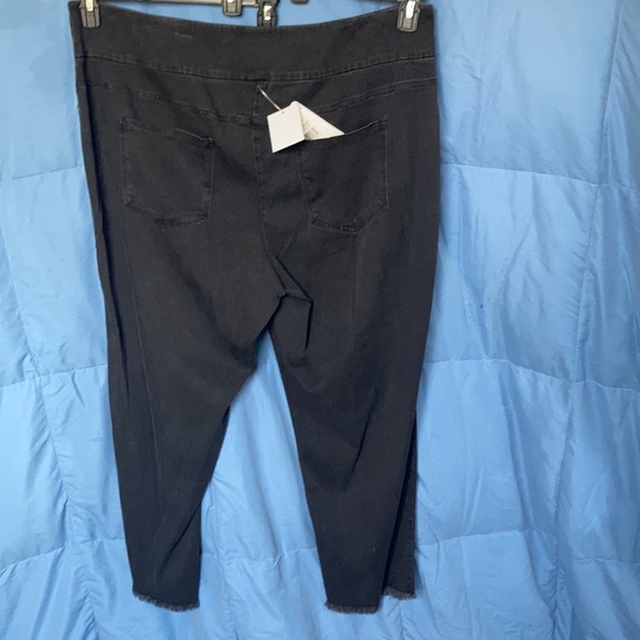 Ruby Rd pull on ankle pant raw hem w tencel & slimming contour waistband 2X - Picture 14 of 17